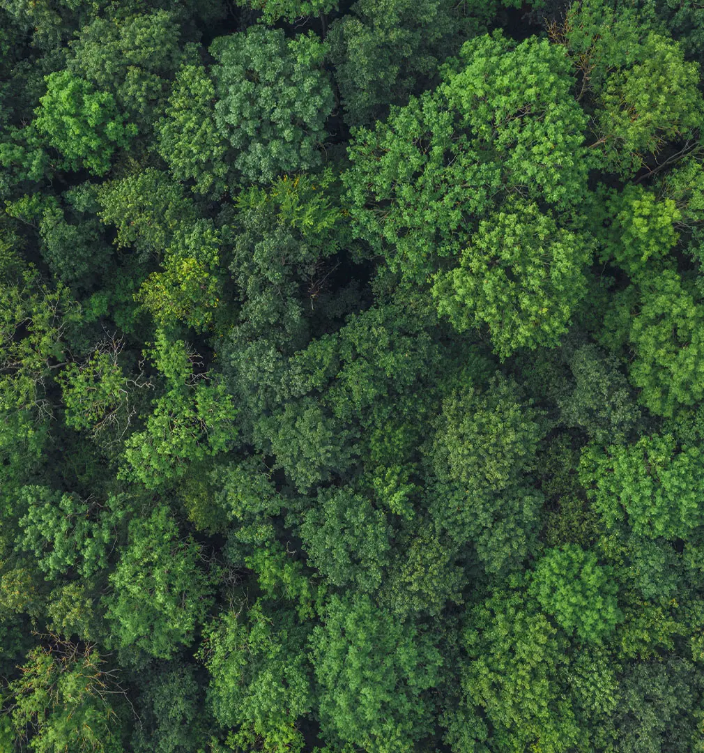 Stroeher Klinker Und Fliesenhersteller Nachhaltigkeit Epd