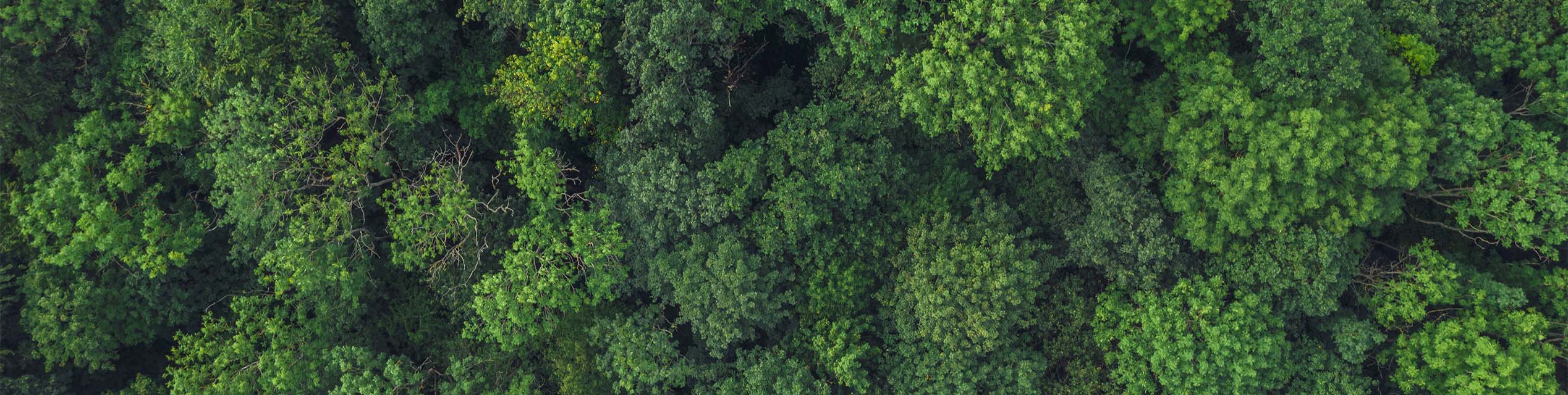 Stroeher Gruppe News Umwelt Nachhaltigkeit